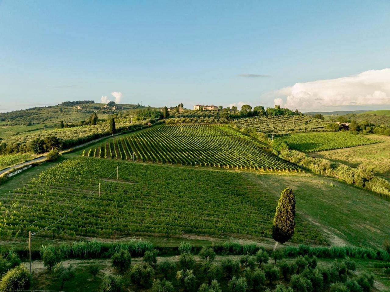 Apartmán Vittoria Chianti Vacations Poggibonsi Exteriér fotografie