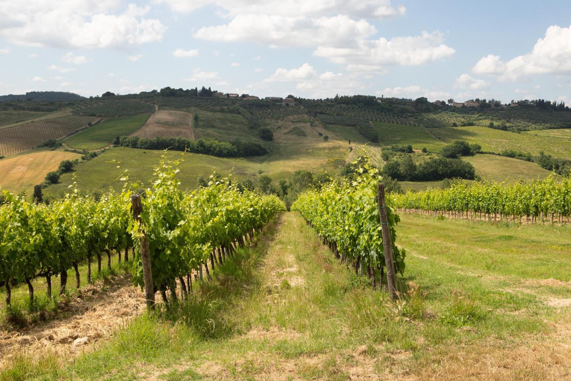 Apartmán Vittoria Chianti Vacations Poggibonsi Exteriér fotografie