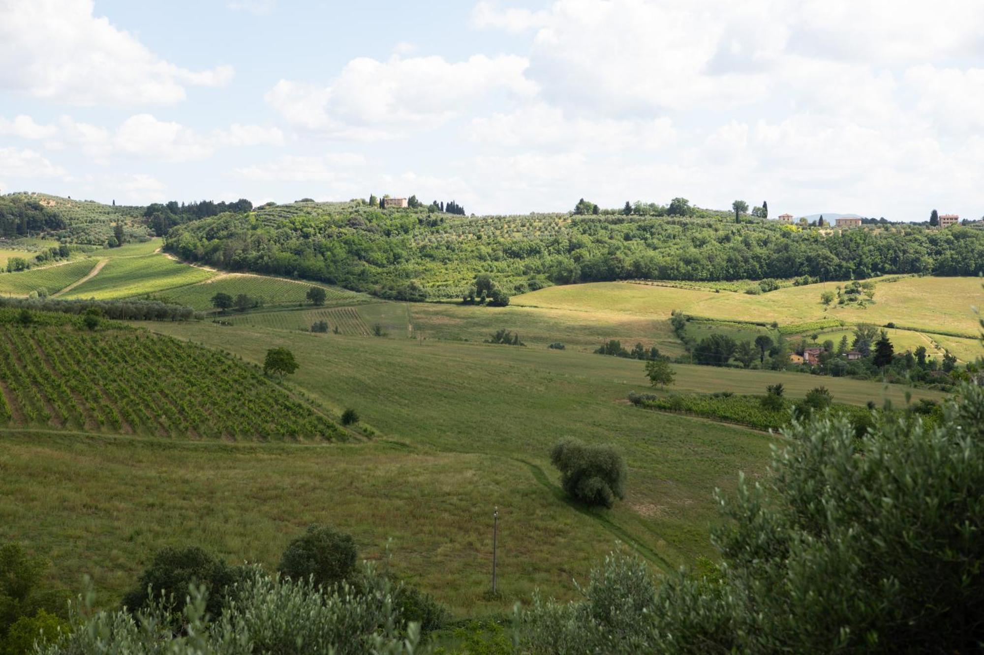 Apartmán Vittoria Chianti Vacations Poggibonsi Exteriér fotografie
